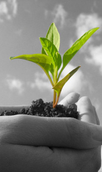 Gestion agricole